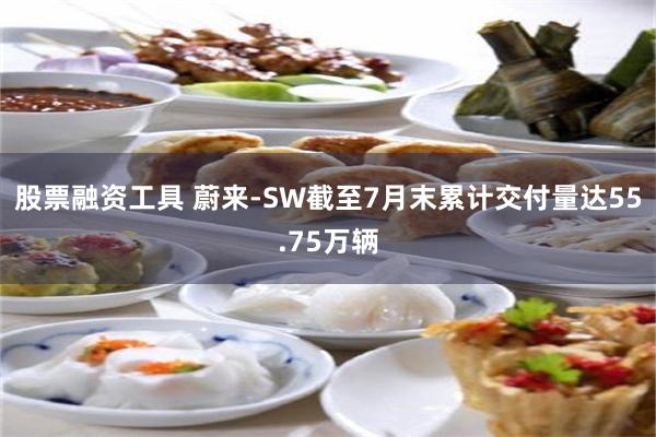 股票融资工具 蔚来-SW截至7月末累计交付量达55.75万辆