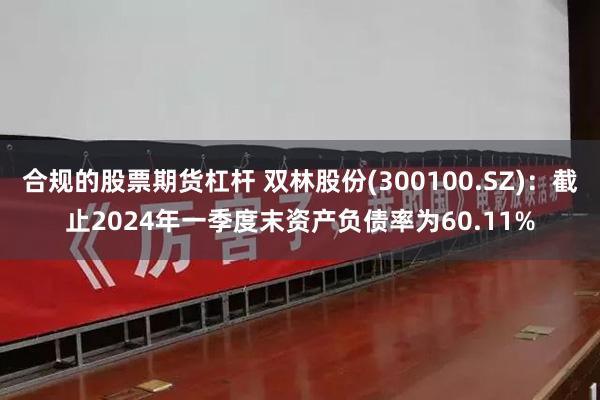 合规的股票期货杠杆 双林股份(300100.SZ)：截止2024年一季度末资产负债率为60.11%