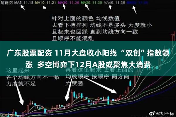 广东股票配资 11月大盘收小阳线 “双创”指数领涨  多空博弈下12月A股或聚焦大消费