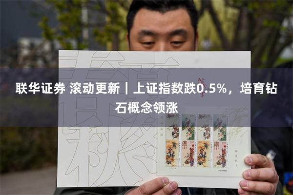 联华证券 滚动更新｜上证指数跌0.5%，培育钻石概念领涨