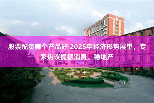 股票配资哪个产品好 2025年经济形势展望，专家热议提振消费、稳地产