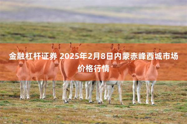 金融杠杆证券 2025年2月8日内蒙赤峰西城市场价格行情