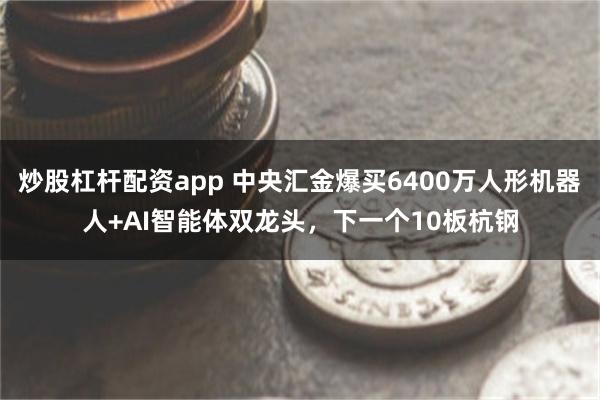 炒股杠杆配资app 中央汇金爆买6400万人形机器人+AI智能体双龙头，下一个10板杭钢