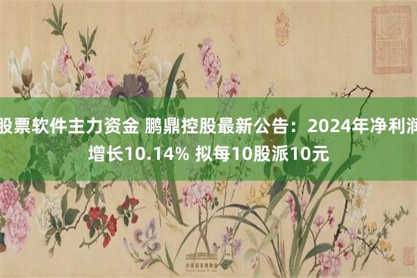 股票软件主力资金 鹏鼎控股最新公告：2024年净利润增长10.14% 拟每10股派10元