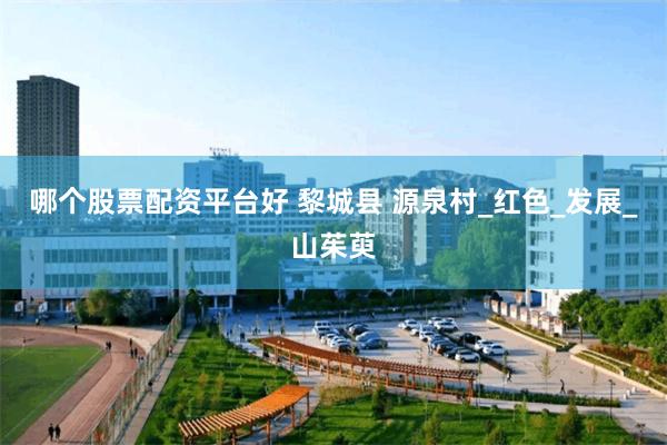 哪个股票配资平台好 黎城县 源泉村_红色_发展_山茱萸