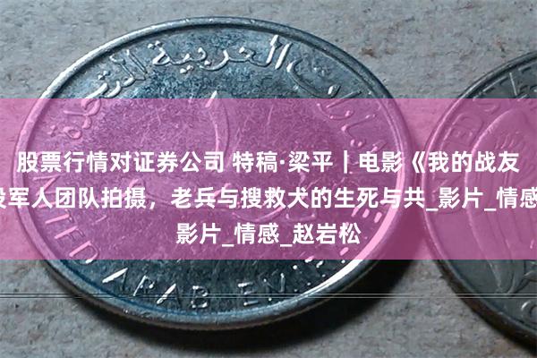 股票行情对证券公司 特稿·梁平｜电影《我的战友》：退役军人团队拍摄，老兵与搜救犬的生死与共_影片_情感_赵岩松